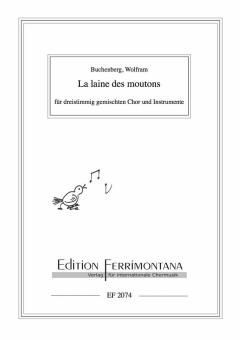 La laine des moutons 