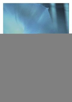 Volker spielt auf! (Nr. 1 aus Drei Mörike-Lieder op. 53) 