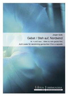Gebet / Steh auf, Nordwind! 