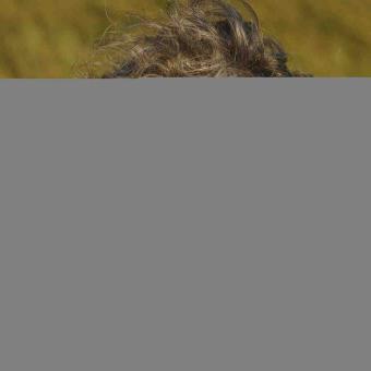 Stehn zwei Stern am hohen Himmel 