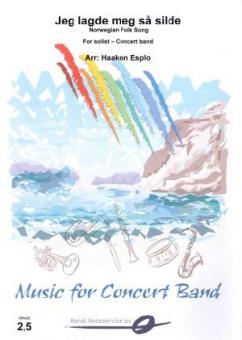 I Went To Bed, But I Could Not Rest 