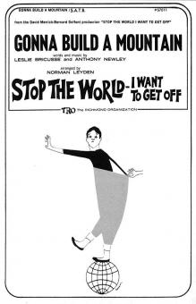 Gonna Build A Mountain 