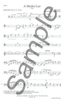 A Media Luz / Der Schatz der Sierra Madre 