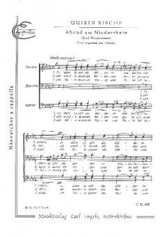 Abend am Niederrhein 