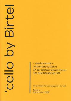 An der schönen blauen Donau 