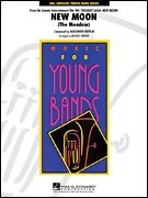 Shackelford Banks (Tale Of Wild Mustangs) 