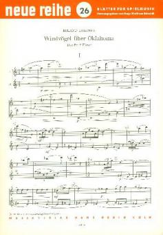 Windvögel über Oklahoma 