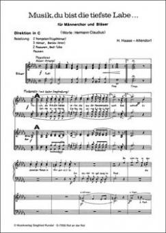 Musik, du bist die tiefste Labe 