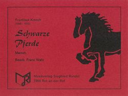 Schwarze Pferde 