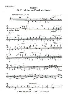Konzert für Mandoline und Streichorchester 