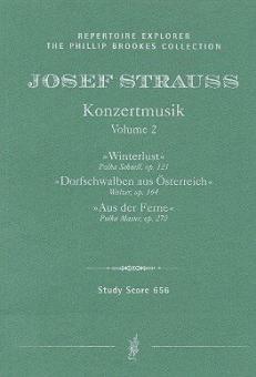 Winterlust / Dorfschwalben aus Österreich / Aus der Ferne 