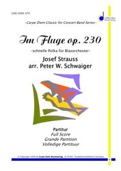 Im Fluge op. 230 