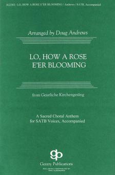 Lo, How A Rose E'er Blooming 