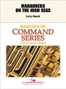 Marauders On The High Seas 