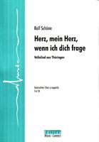 Herz, mein Herz, wenn ich dich frage 