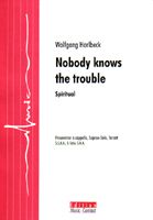 Nobody Knows The Trouble 
