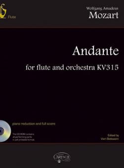 Andante For Flute And Orchestra K315 
