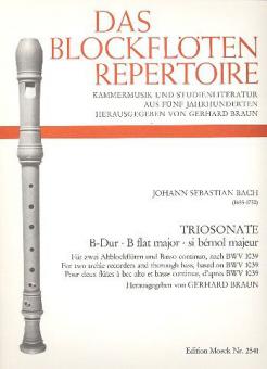 Triosonate in B-Dur nach BWV 1039 