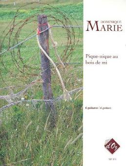 Pique-nique au bois de mi 