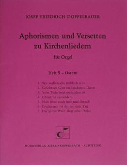 Aphorismen und Versetten zu Kirchenliedern Heft 5 