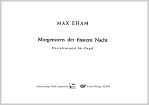 Morgenstern der finstern Nacht 