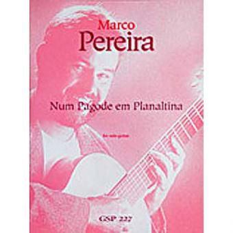 Num Pagode em Planaltina 