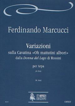 Variations on the Cavatina Oh mattutini albori 