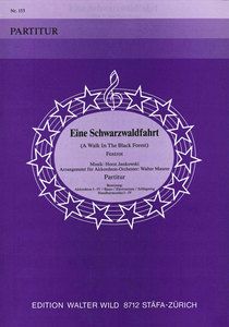 Eine Schwarzwaldfahrt 