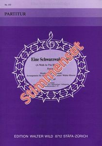 Eine Schwarzwaldfahrt 