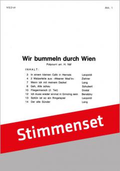 Wir bummeln durch Wien 