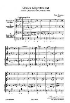 Kleines Mayenkonzert 