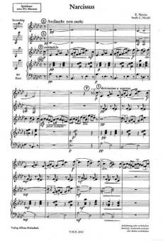 Narcissus 