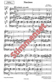 Narcissus 
