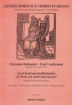 2 Instrumentalfantasien 