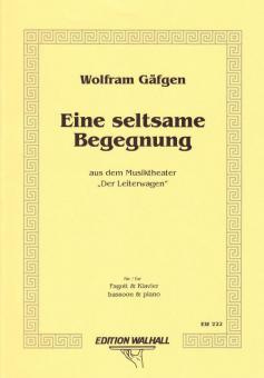 Eine Seltsame Begegnung V 