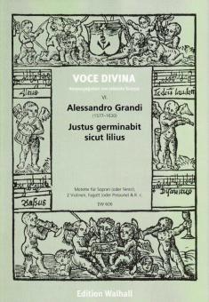 Justus germinabit sicut lilius 