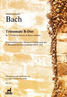 Brandenburgisches Konzert Nr. 6 BWV 1051 