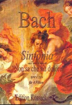 Sinfonia zu Non sa che sia dolore 