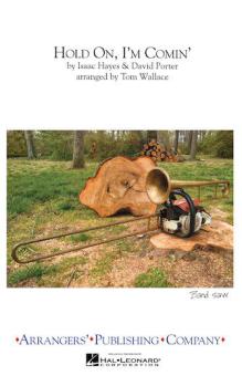 Hold On I'm Comin' 