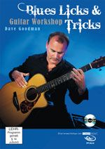 Gitarrenworkshop: Blues Licks & Tricks 