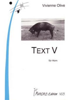 Text V 