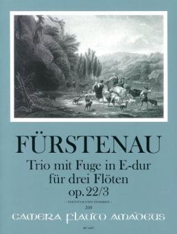 Trio mit Fuge in E-dur op. 22/3 