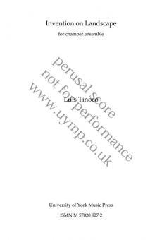 Invention On Landscape 