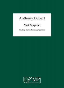 York Surprise 