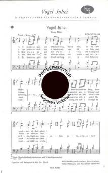 Vogel juhei No 1 