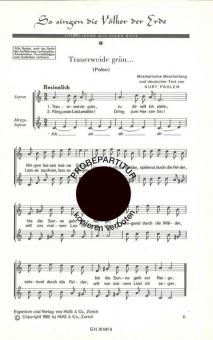 So singen die Völker der Erde 2 