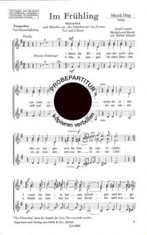 Im Frühling 