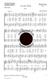 An den Wald 