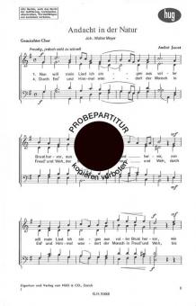 Andacht in der Natur 