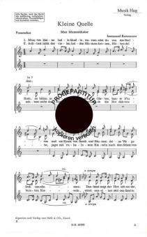 Kleine Quelle 